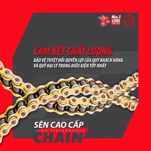 Nhông sên dĩa STB Speedtech giá bình dân chất lượng ổn định